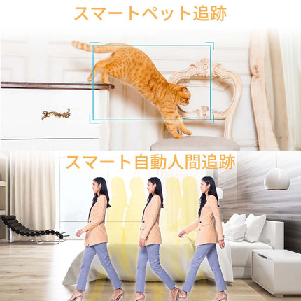 SpotCam Mibo + 1年間AIペットケアセット